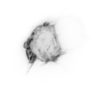 Live imaging of a cell expressing an active PI3K sensor