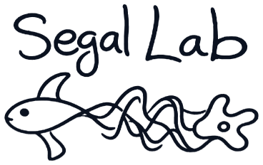 Segal Lab